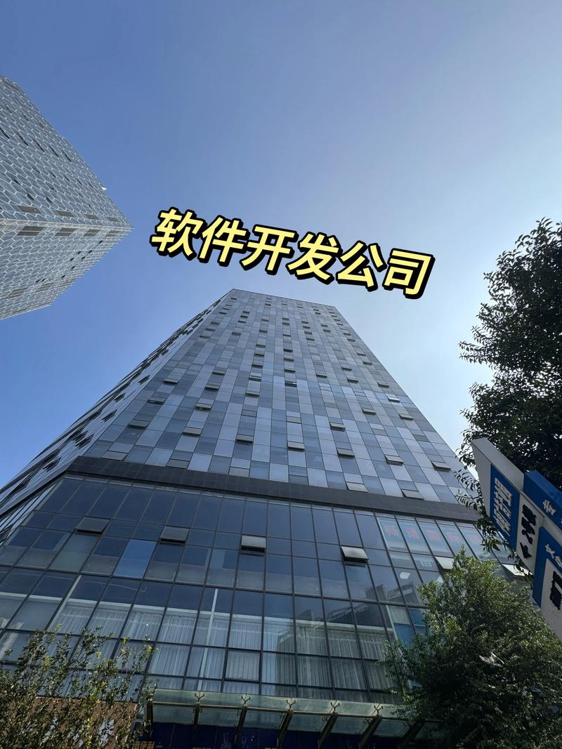 医疗软件定制